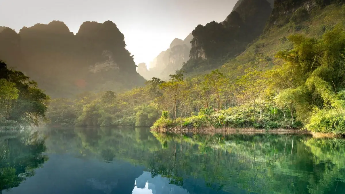 绿色高精度